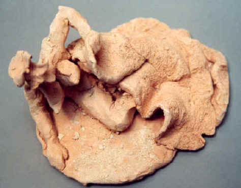 Au lit !, terre cuite  (2004) copyright D. Aliquot (ADAGP)